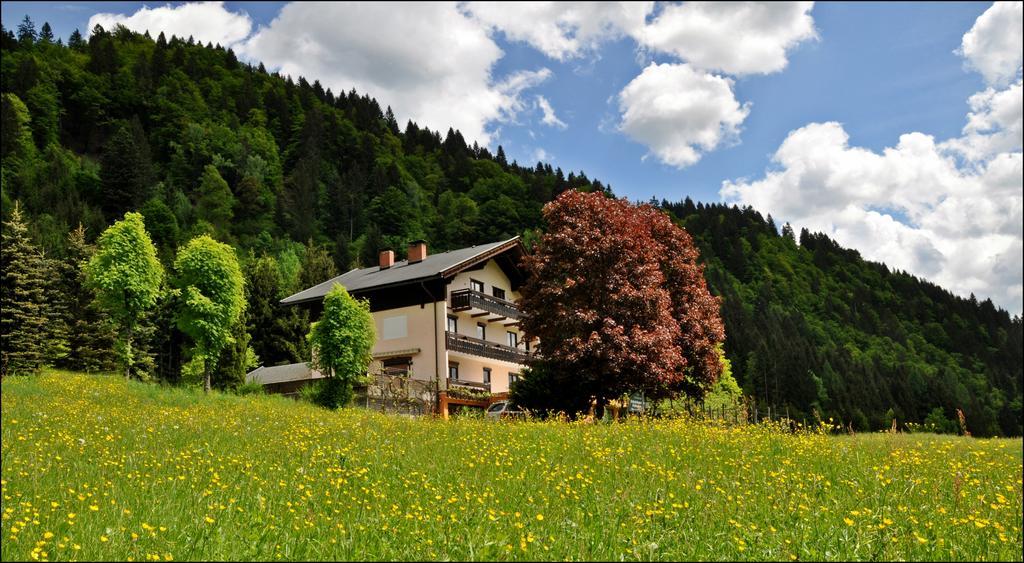 ホテル Enzianbrenner Jenig エクステリア 写真