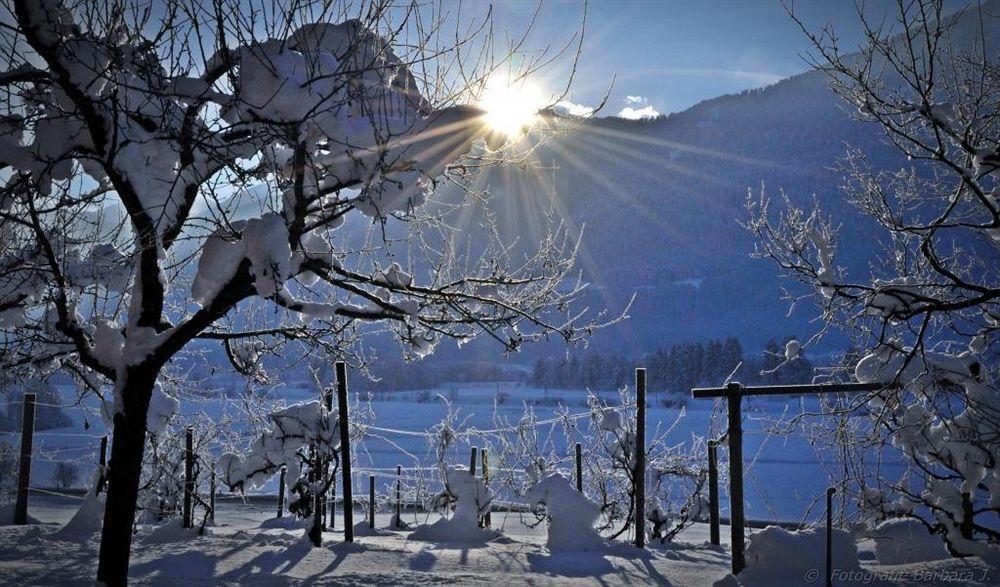 ホテル Enzianbrenner Jenig エクステリア 写真